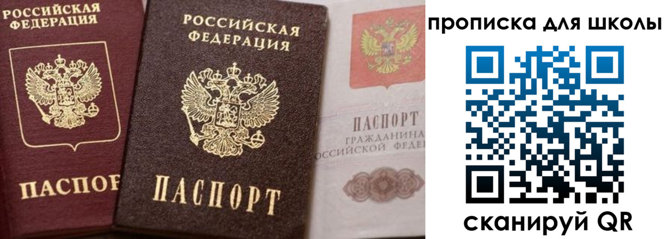 прописка законно в Козельске